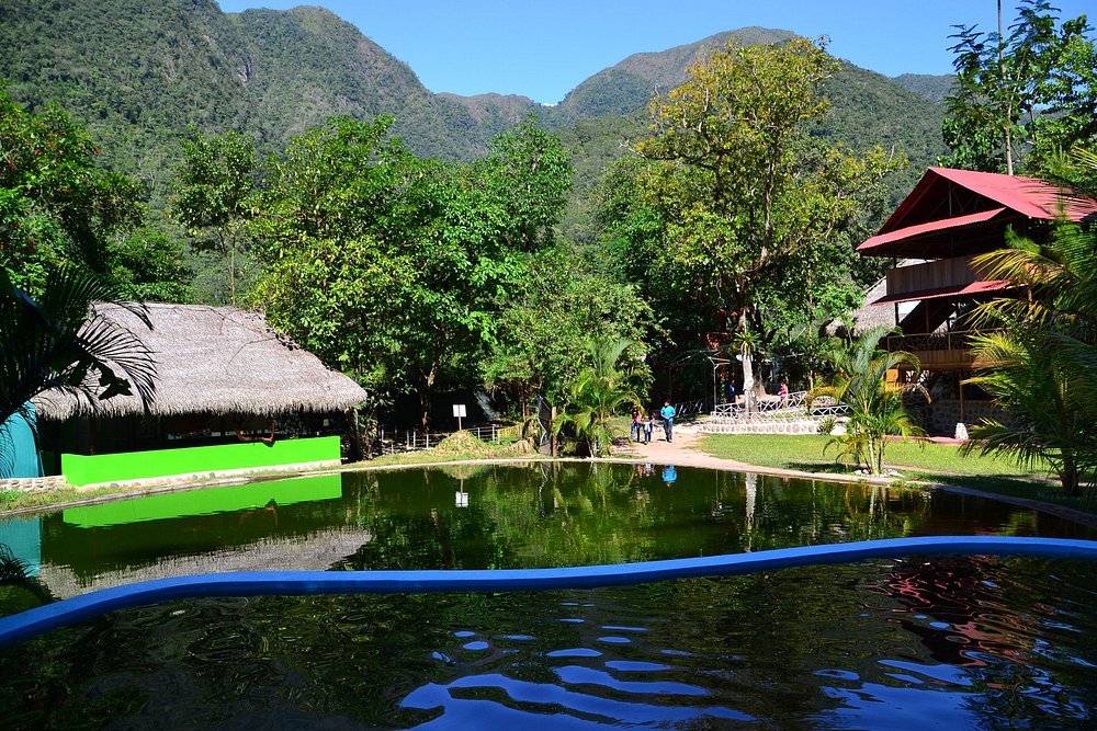 Albergue de Animales