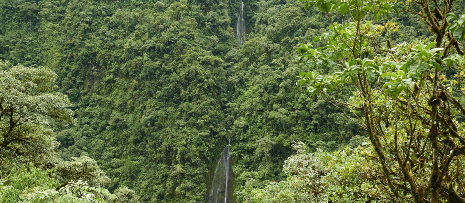 Cascada de la Selva