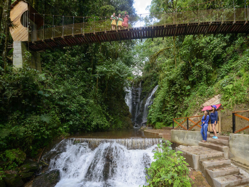 Tour Río Tigre