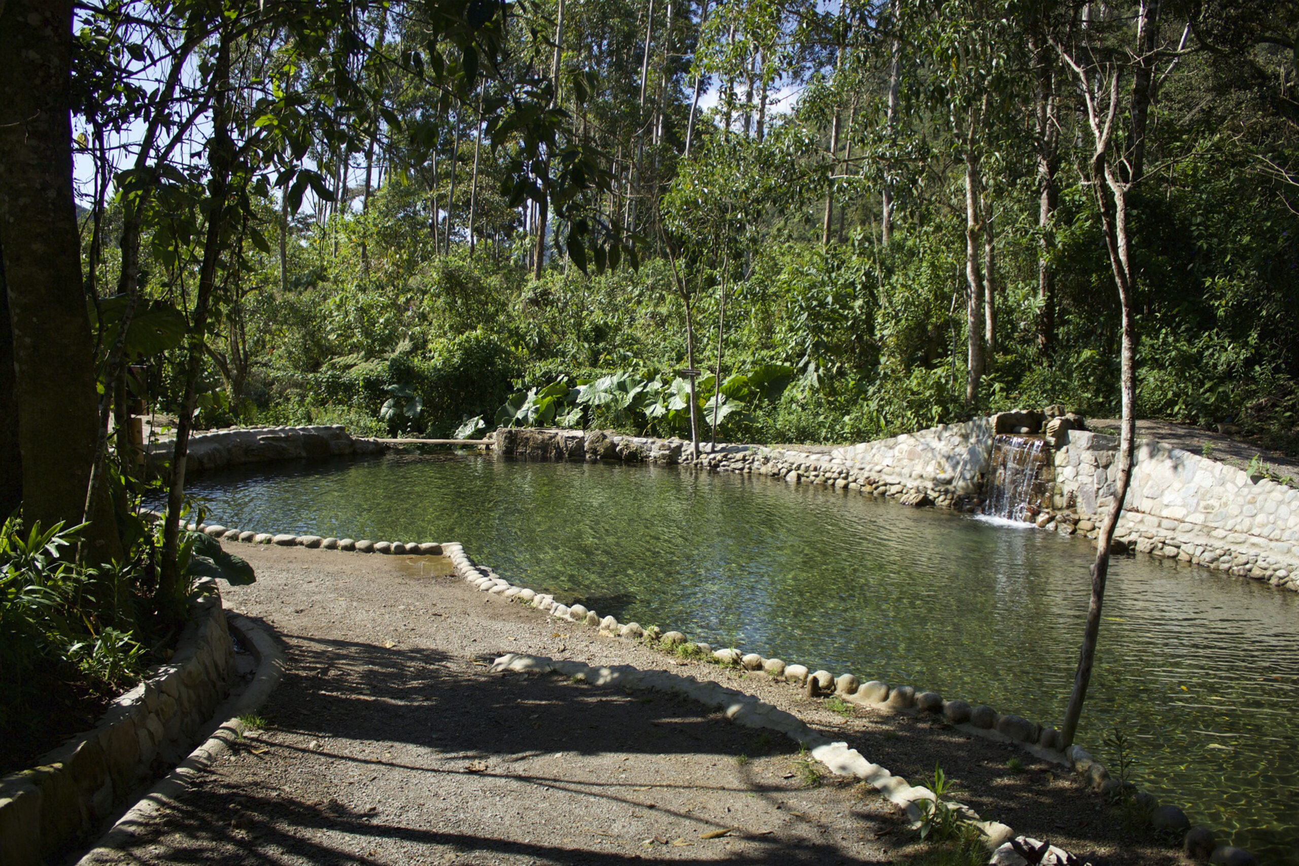 Manantial de la Virgen